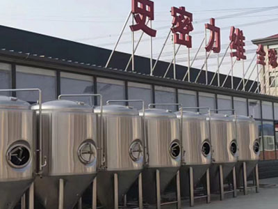 比如精酿啤酒设备厂—市场规模与跨界新需求